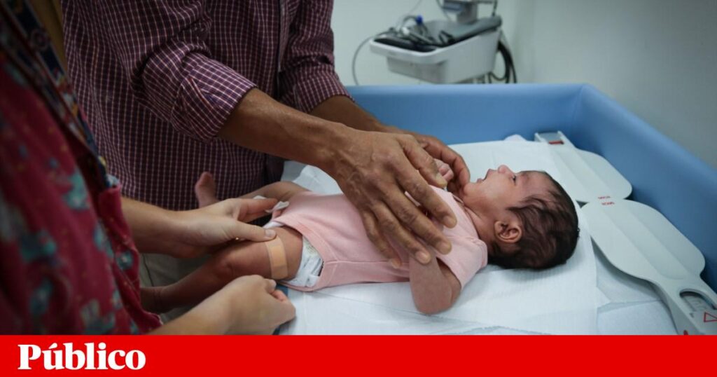 2025年にサンパウロ都市圏で生まれた赤ちゃんの半数は外国人母親の子供