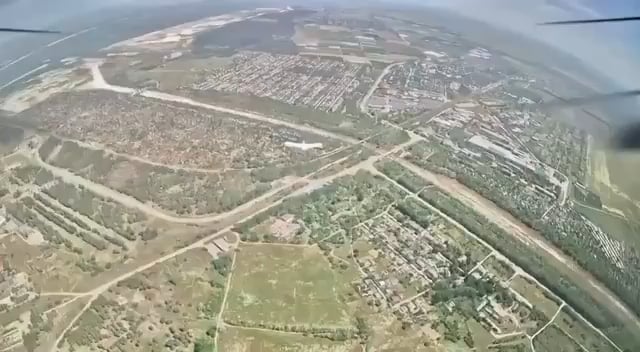 コウノトリ、命を狙うロシアのドローン操縦者を出し抜く