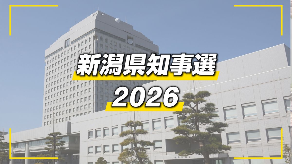 【県知事選】午後4時現在の推定投票率は18.70％　前回選挙下回る《新潟》