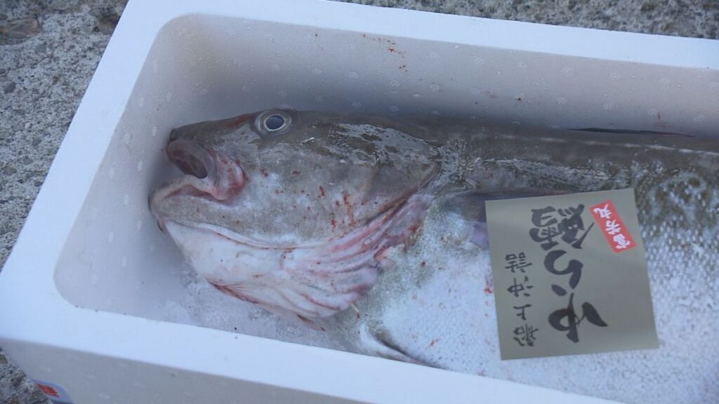 漁獲量は2021年の6割 庄内浜の魚消費拡大へ山形市で総会 11月に新イベント開催(2026年5月27日掲載)|YBC NEWS NNN 共有