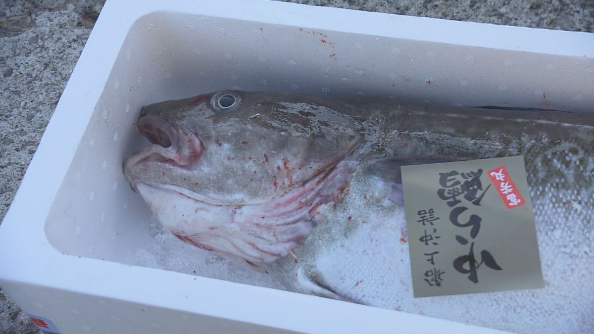漁獲量は2021年の6割 庄内浜の魚消費拡大へ山形市で総会 11月に新イベント開催