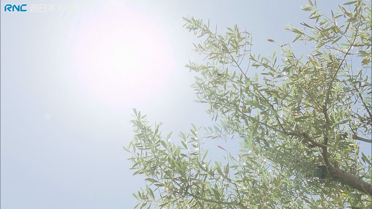 多くの地点で真夏日 熱中症で死者も