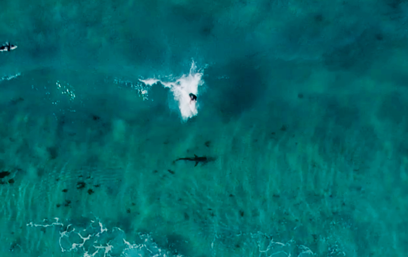 スクリーンショット 2026-05-15 5.49.03
