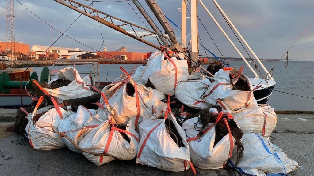 何年もの間、幽霊網が張り巡らされ、魚が死んだ - 今、リムフィヨルドはついに空になった