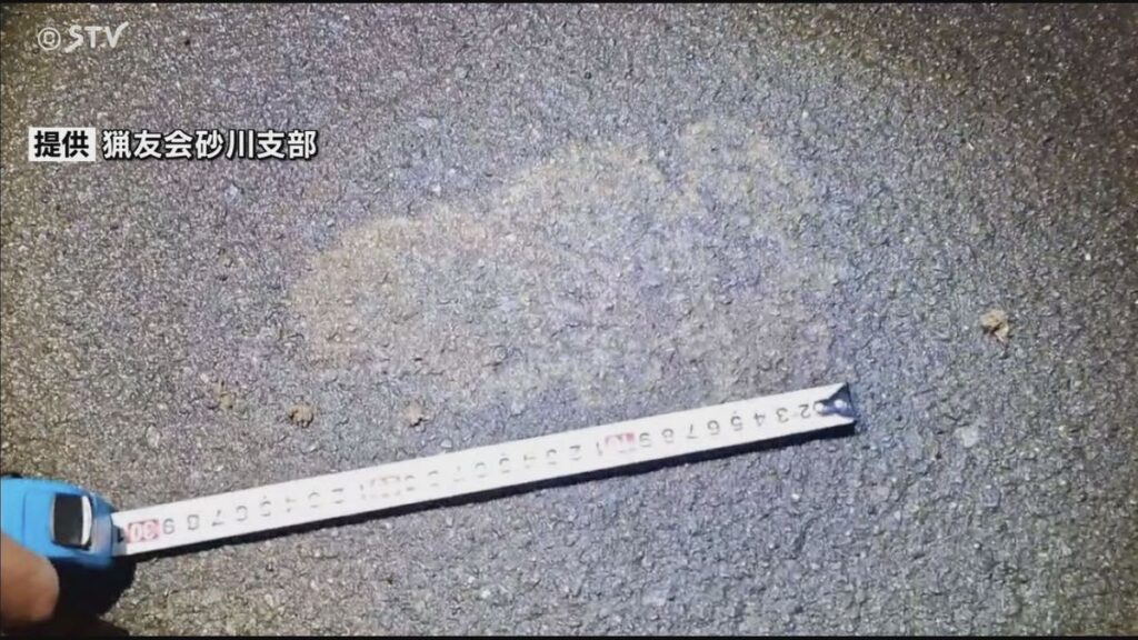 ドライバーが体長約2メートルのクマを目撃…現場にはおよそ24センチのクマの足跡も 北海道砂川市(2026年5月10日掲載)|STV NEWS NNN 共有