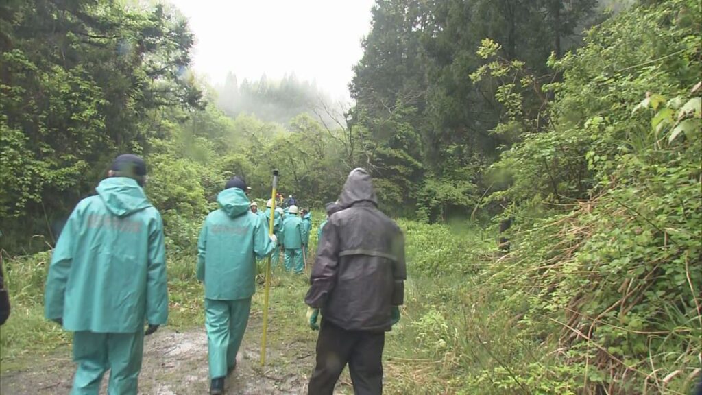 共有