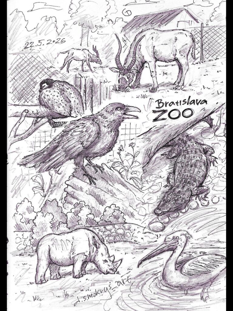 今日ブラチスラヴァ動物園で描いた絵