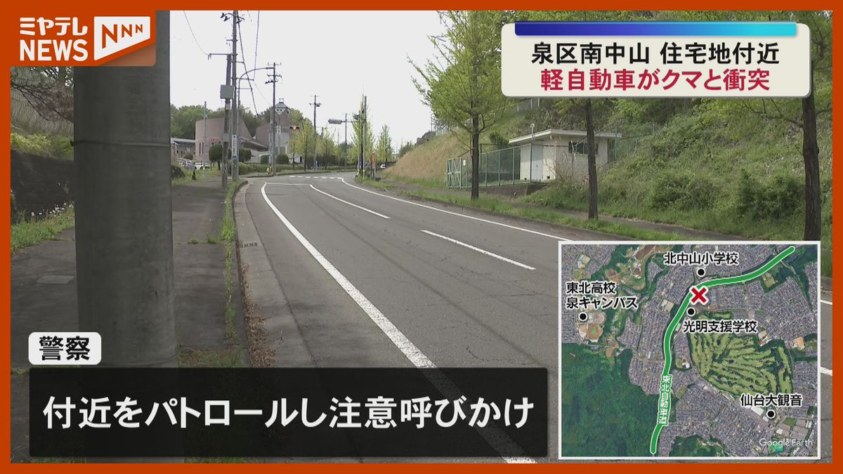 体長 約1.5メートル…路上に飛び出した『クマ』に軽自動車が衝突、仙台市泉区の住宅地付近