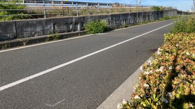 松山市で停車中の軽乗用車と衝突 自転車の大学生の男性が死亡