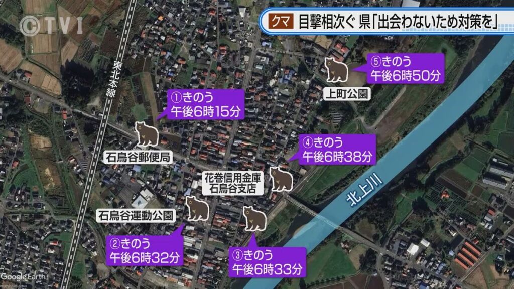 共有