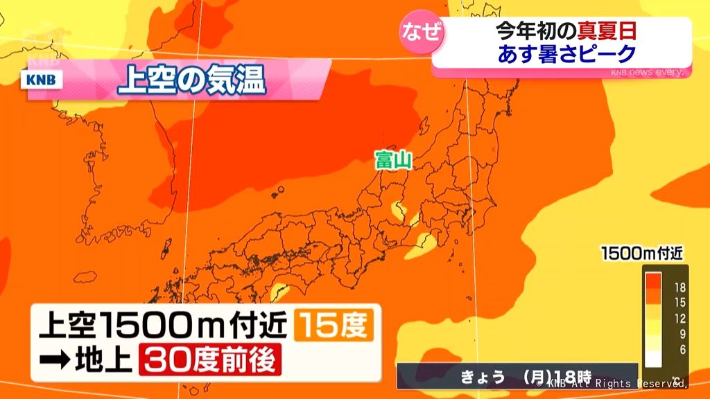 共有