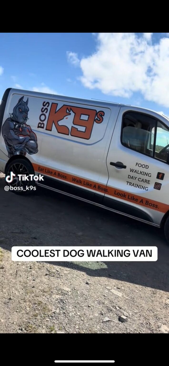 犬の散歩・洗車