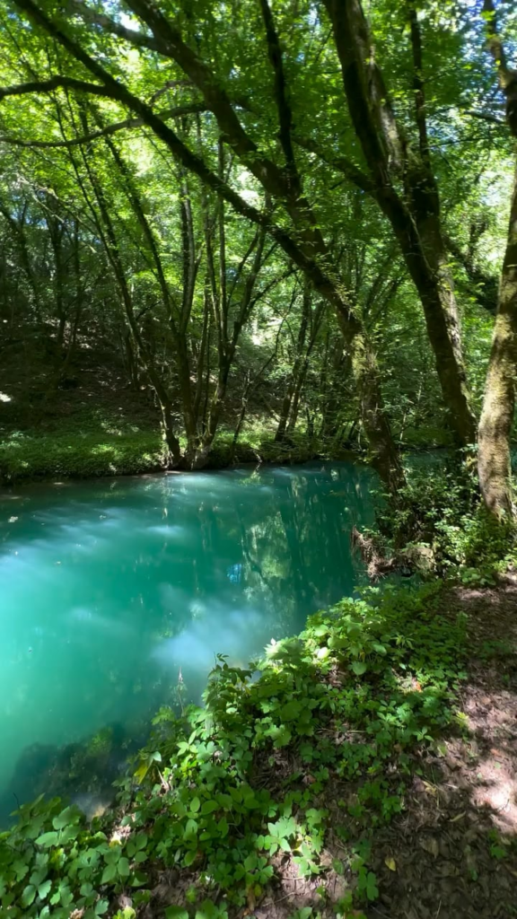 🌱 リラックスできる小さな自然