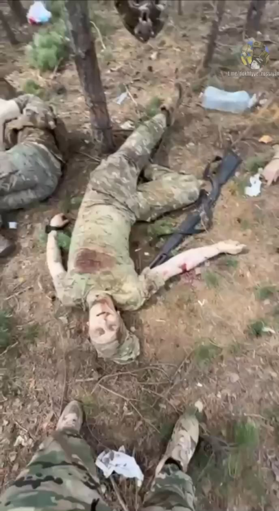 ヒマール軍が陣地を攻撃し複数のロシア兵が死亡