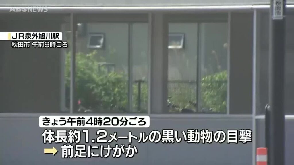 秋田市外旭川地区でクマの目撃相次ぐ JR泉外旭川駅近くでも 17日は民家敷地に入り…警察が爆竹鳴らす(2026年5月18日掲載)|ABS NEWS NNN 共有