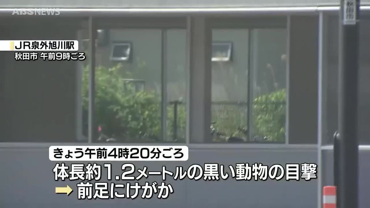 秋田市外旭川地区でクマの目撃相次ぐ JR泉外旭川駅近くでも 17日は民家敷地に入り…警察が爆竹鳴らす