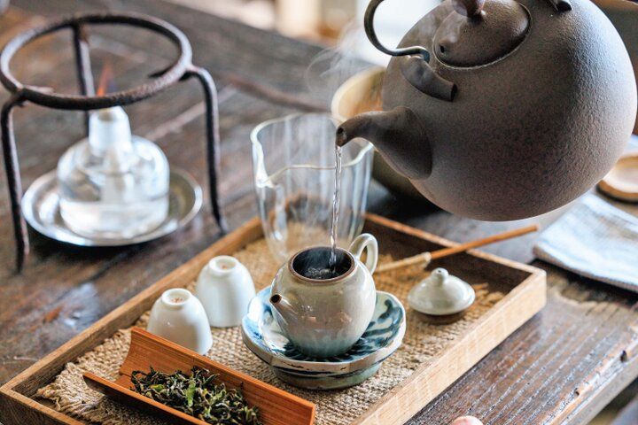 京都・新緑の「高瀬川」に新たなおさんぽスポット誕生♪ 任天堂から源氏物語まで町歩きの楽しさを満喫