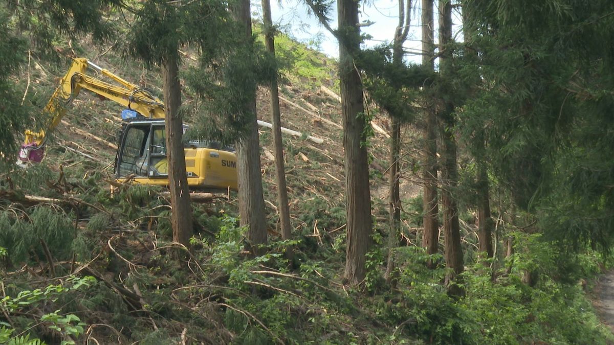 死亡したのは大江町の男性(66) 伐採していた木が跳ね返り顔面に衝突する死亡労災事故 山形県