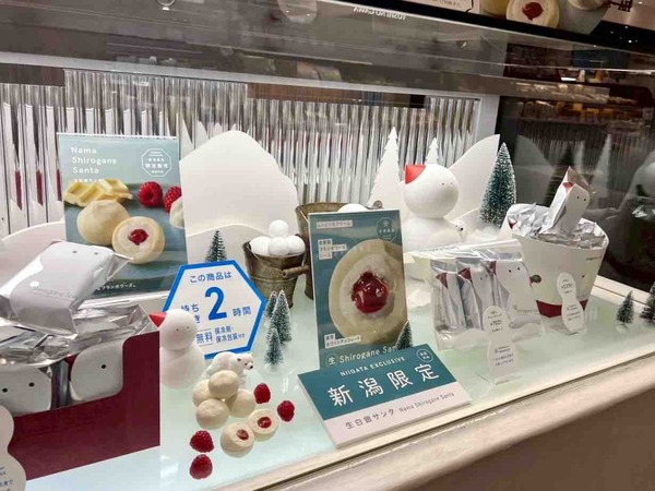 スノーセンカ
