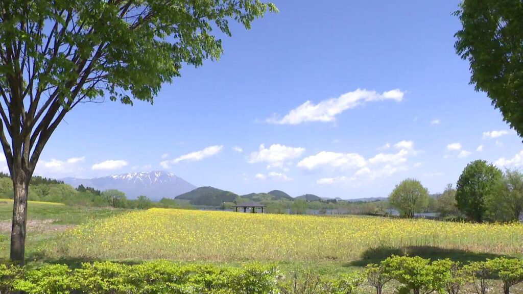 共有