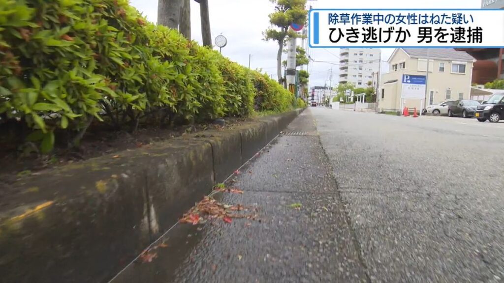 徳島市の会社員の男を逮捕 除草作業中の女性はね逃走した疑い【徳島】(2026年5月28日掲載)|JRT NEWS NNN 共有