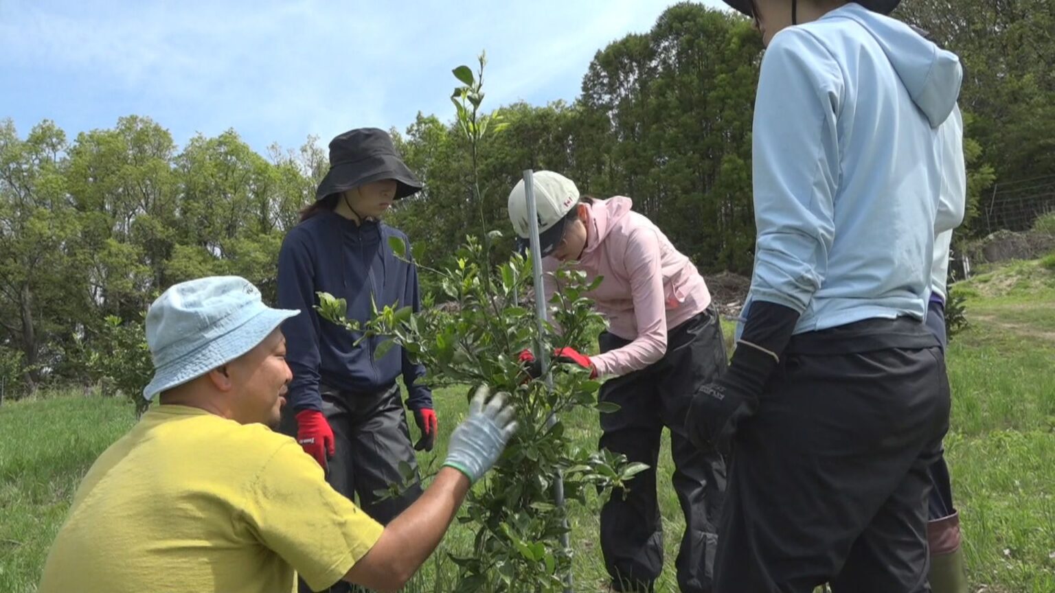 就農希望者を増やそう　小豆島で農業インターンシップ　全国から応募した大学生ら8人が参加　香川 | KSBニュース | KSB瀬戸内海放送