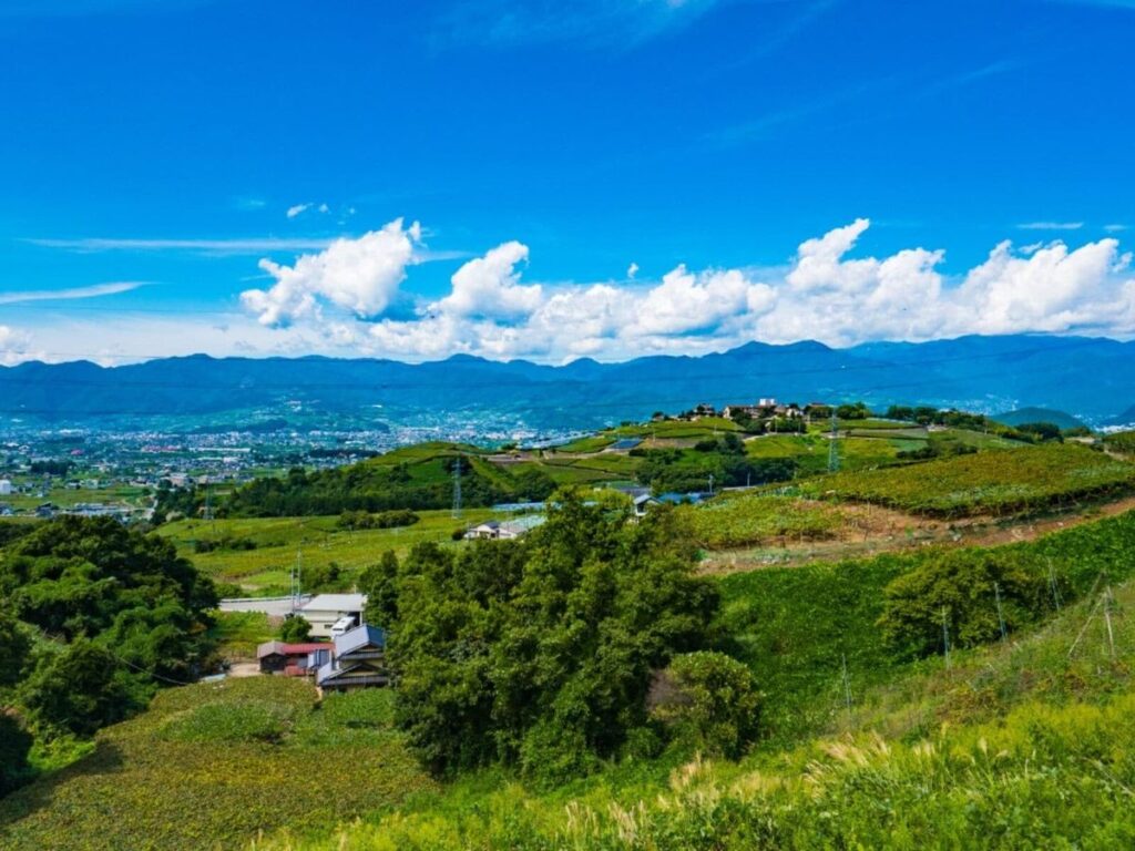 春に行きたいと思う「山梨県の旅行先」ランキング！ 2位「甲州市勝沼 ぶどうの丘」、1位は？【2026年調査】 | TRILL【トリル】