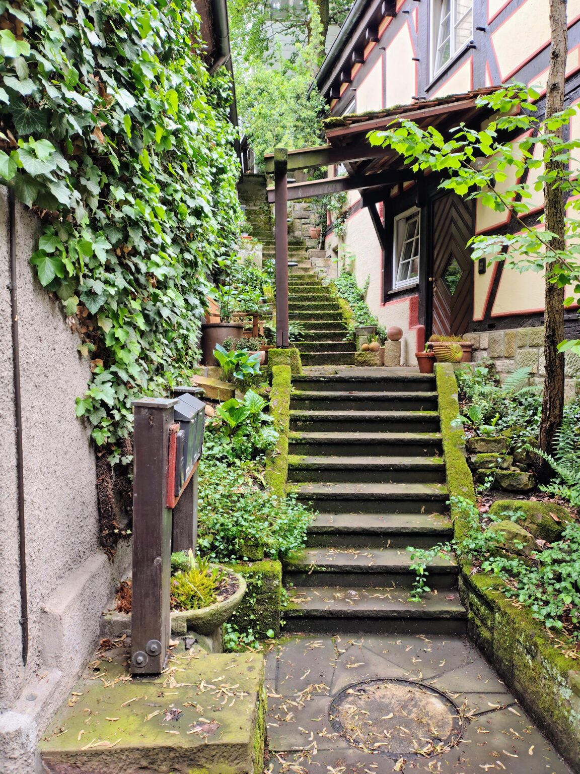 私はこの写真が好きです、あなたも気に入っていただければ幸いです