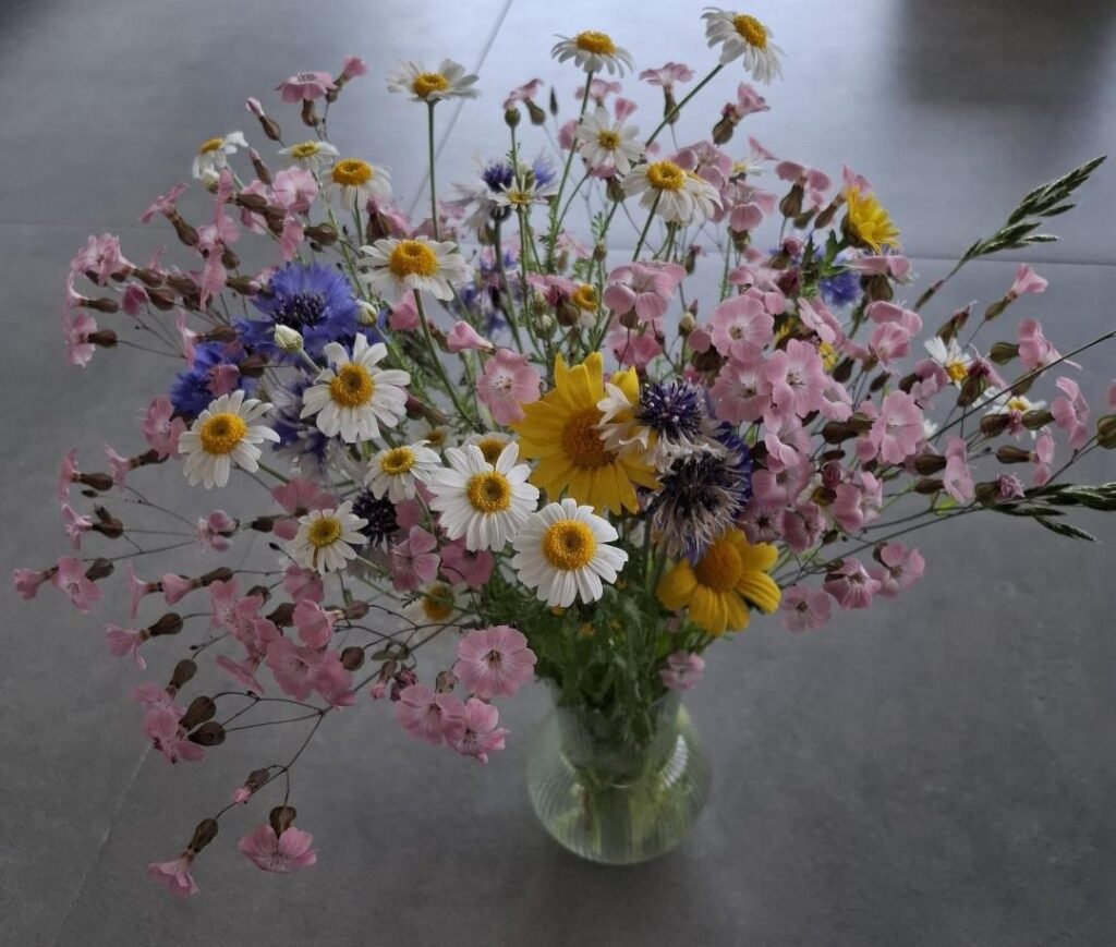 花の金曜日