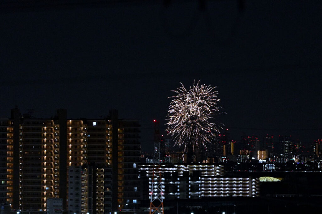 「五六花火」の画像