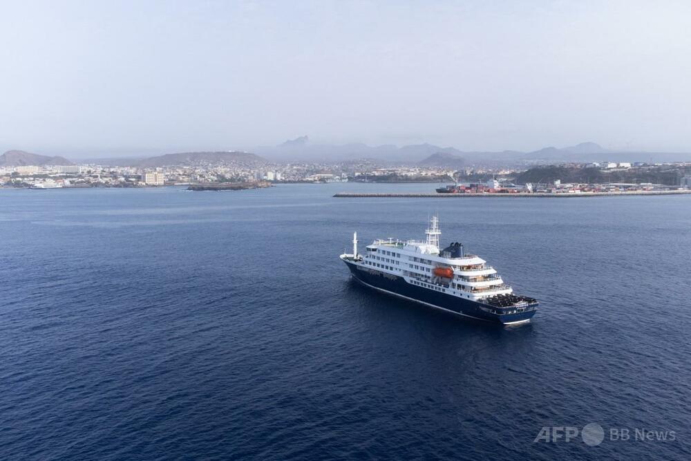 「ハンタウイルス」の起源、出発地アルゼンチン南部の可能性「極めて低い」 専門家 - AFPBB News