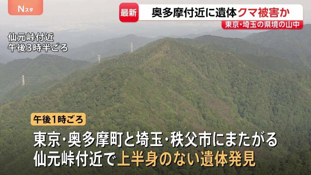 【速報】東京と埼玉にまたがる仙元峠付近で上半身のない遺体 クマに襲われた可能性 周辺には大型動物の足跡 警視庁が身元確認を進める - TBS NEWS DIG