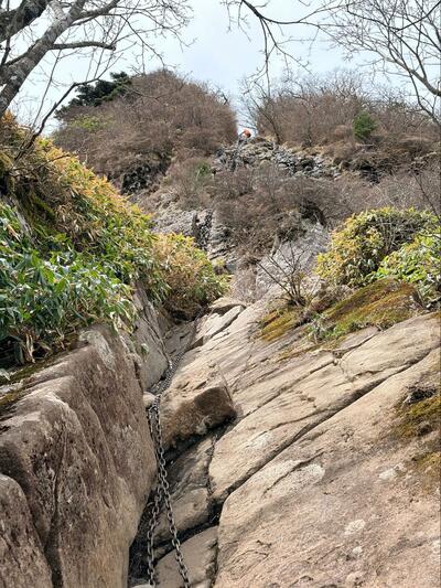 投稿の画像