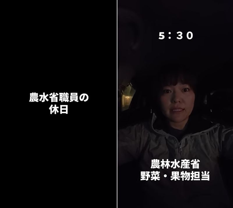 農林水産省職員