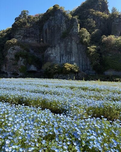 投稿の画像