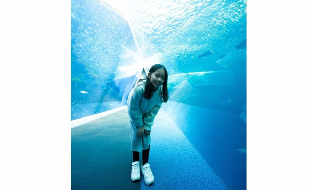 【学び×旅】海の生き物・化石や鍾乳洞…福島県で地球の歴史と不思議にふれる旅　 | AERA with Kids＋