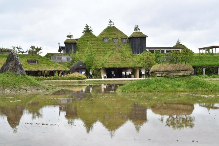 【滋賀県】近江八幡で撮影された「神秘的で美しい場所」に注目集まる　回廊みたいな空間も古代遺跡感たっぷり