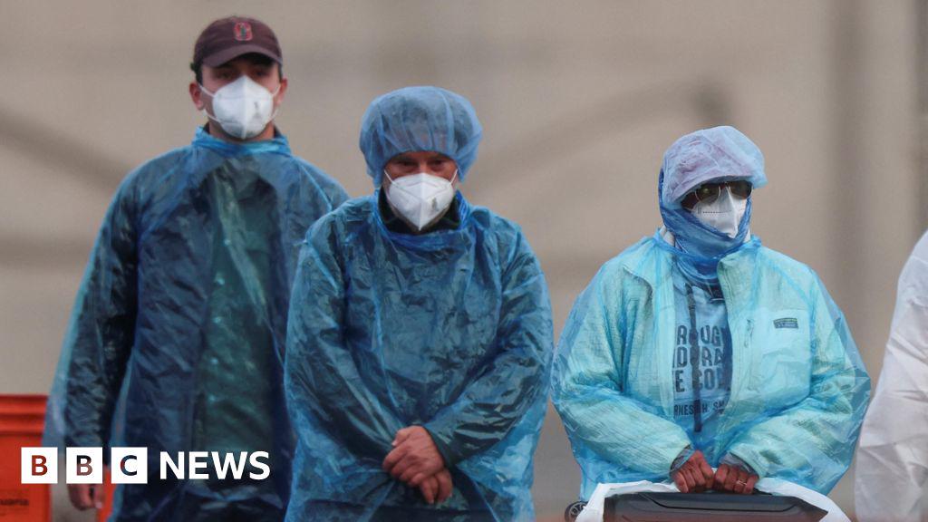 最後の乗客、ウイルス感染クルーズ船から下船、さらに3人が陽性反応