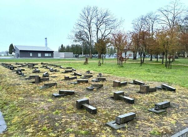 「墓石60基ぐらいが倒されている」霊園の”囚人墓地”1区画すべての墓石が倒される…中には土台部分からひっくり返されているものも…器物損壊事件として捜査〈北海道月形町〉