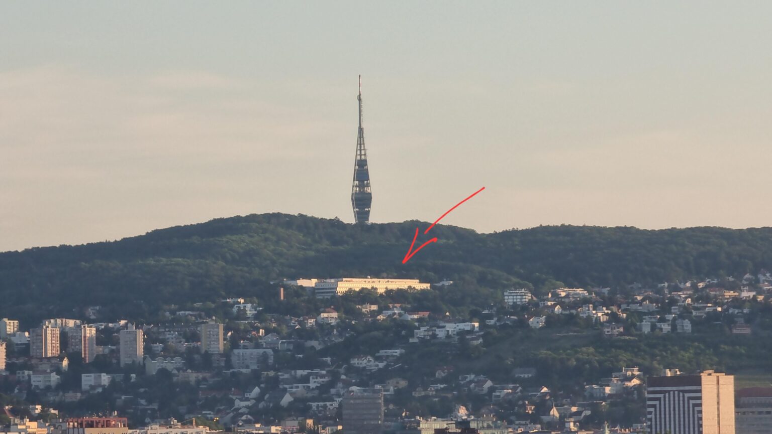 彫刻