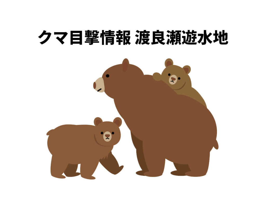 【速報】渡良瀬遊水地クマ目撃情報 2026.5.26 10:30頃 | 館林くらし 【速報】渡良瀬遊水地クマ目撃情報 2026.5.26 10:30頃 | 館林くらし