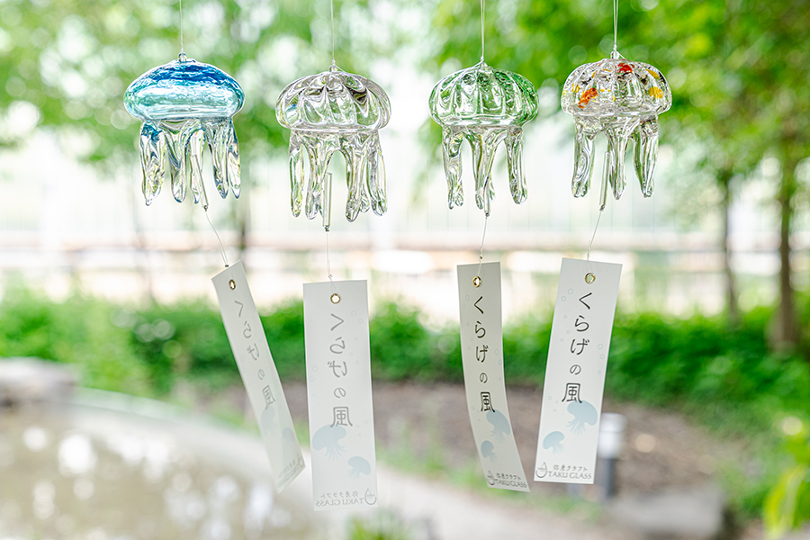 「京都水族館」の夏限定イベント「くらげと傘と風鈴と」で毎年人気のクラゲ風鈴（左からあさぎ色、クリア、新緑、夏みかん）