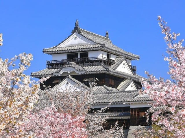 【男性が選ぶ】春に行きたい「愛媛県の旅行先」ランキング！ 2位「松山城」を抑えた1位は？【2026年調査】