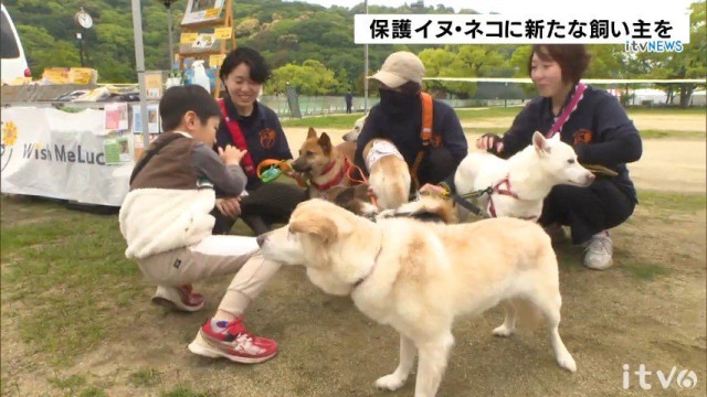 「さみしくて会いに来た」―大切な出会いを求めて 保護イヌ・ネコの譲渡会 愛媛・松山市