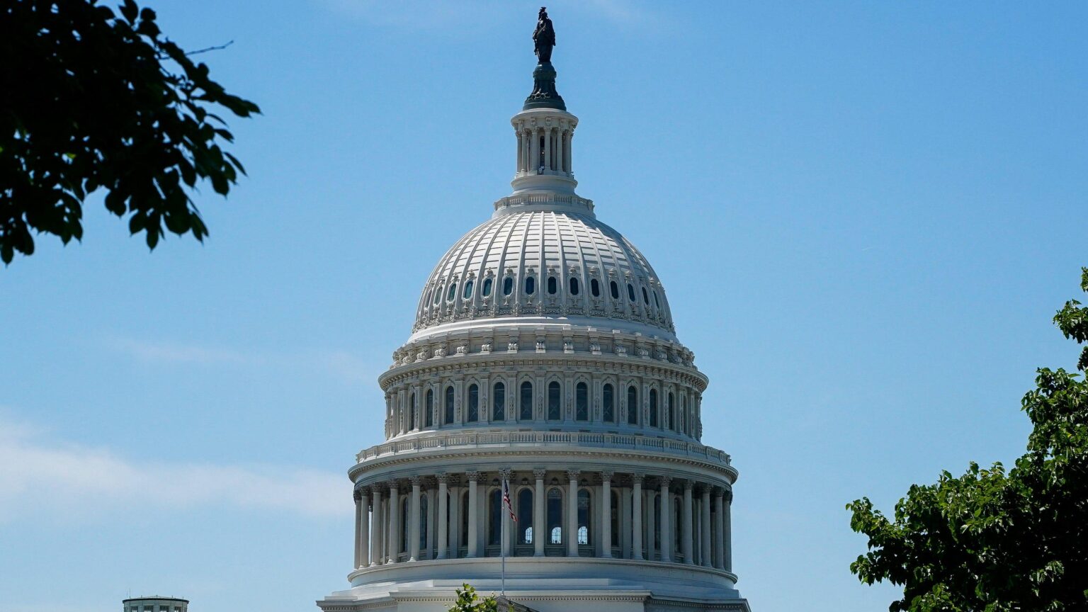 私たちは議会に6,000議席を追加する必要があります。私は真剣です。 |意見