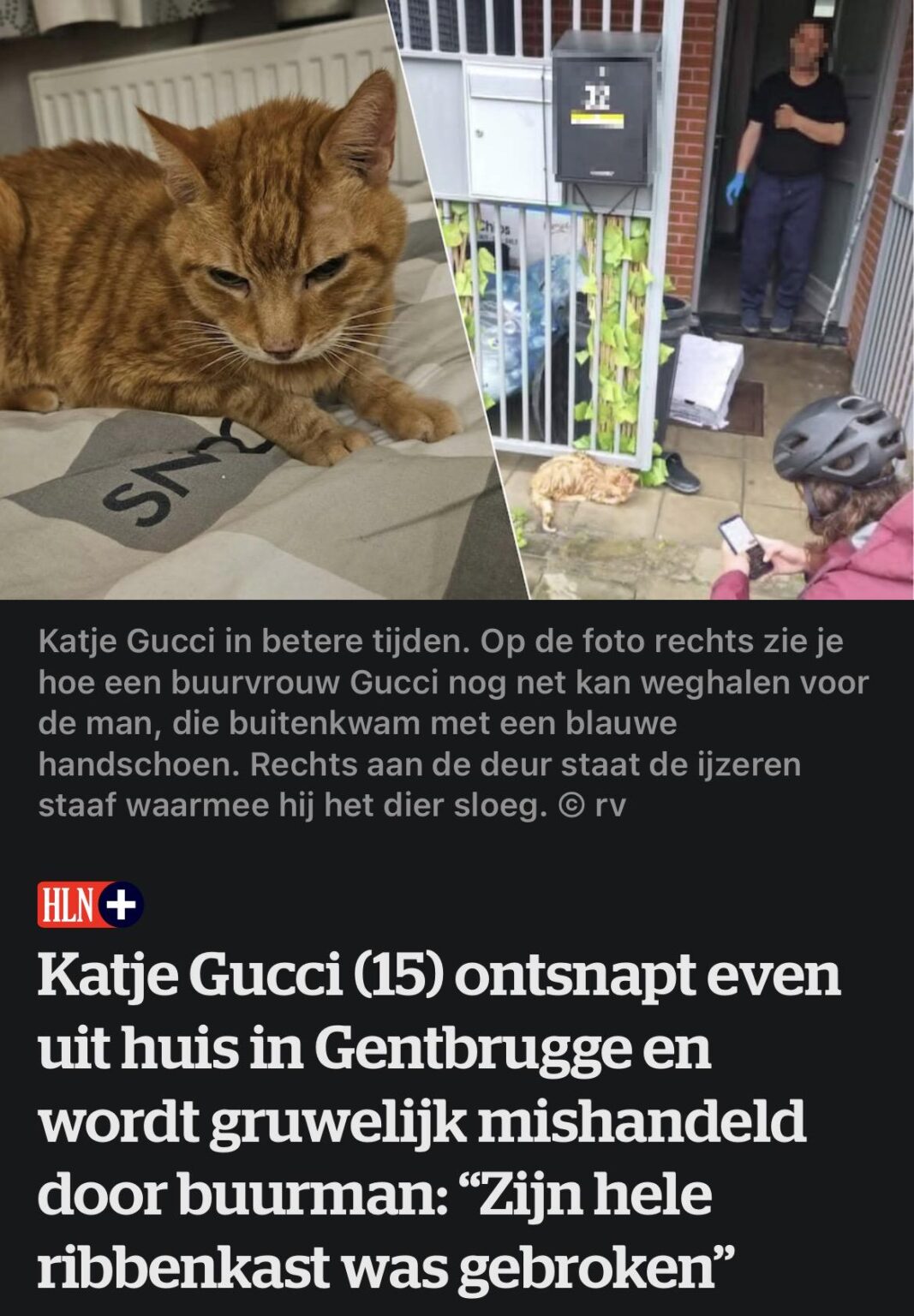 カッチェ・グッチさん（15）はゲントブルッヘの自宅から一時的に逃げ出し、隣人からひどい虐待を受けた：「彼の胸郭全体が折れた」