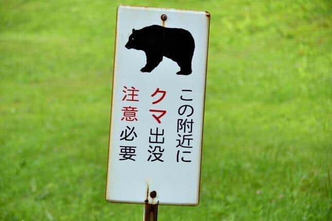 岩手県では4000頭のクマが目覚めている、一部は人里に依存 「news zero」で専門家が注意促す: J-CAST ニュース
