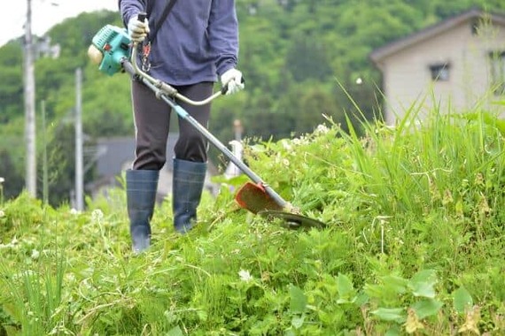 職員は草刈り業務を契約書を交わさずに外部委託した（画像はイメージ）