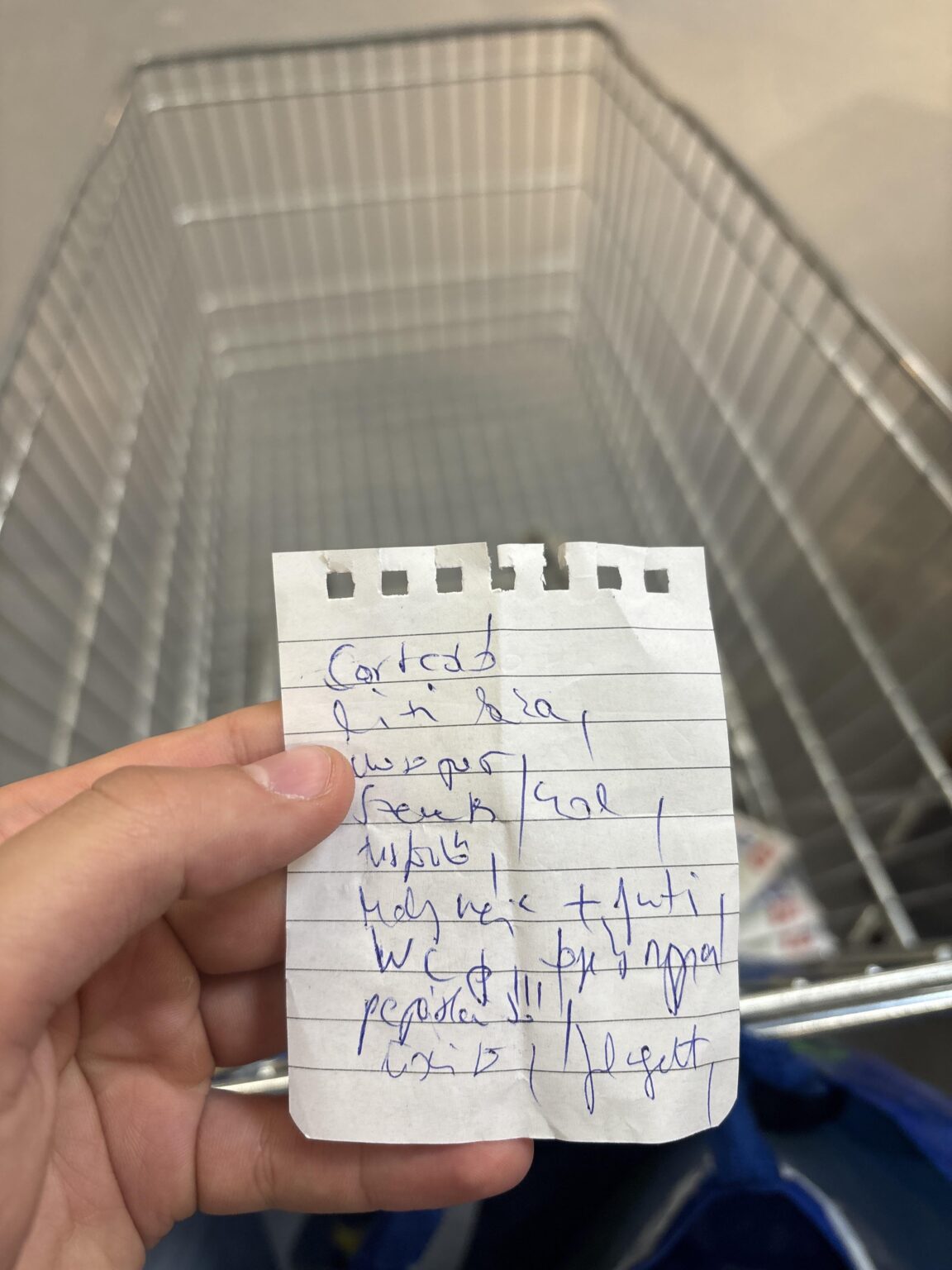母の買い物リストはまだ読めません