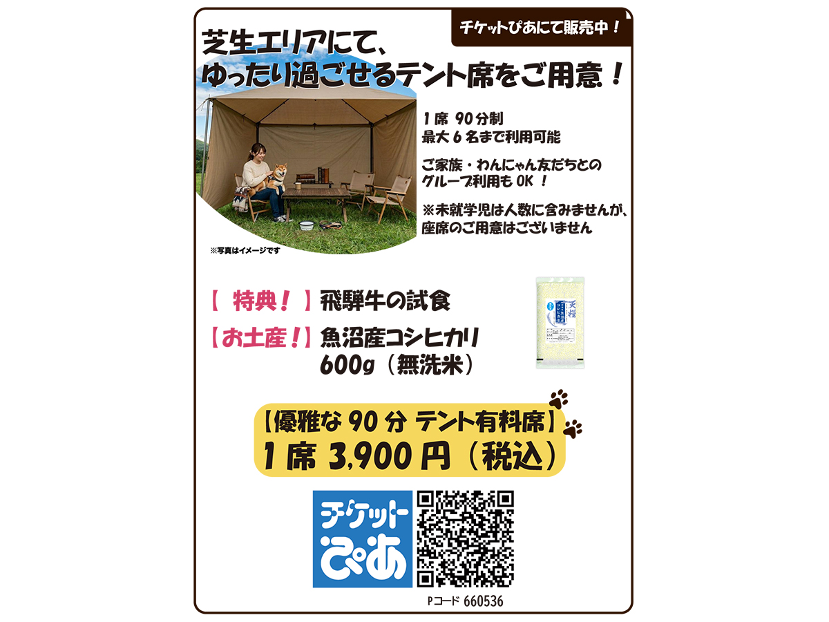 にいがた犬の陣・猫の陣